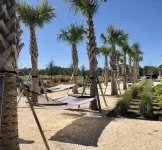 Close to Attractions and Entertainment - Charming Cozy Retreat Hotels in Orange County