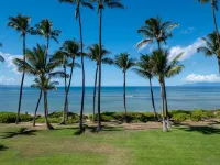 Oceanfront, Walk to Shops and Restaurants Hotels in Maalaea