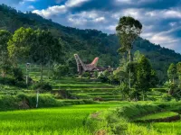 SANTAI TORAJA Hotels in Sopai
