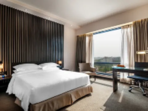 Hyatt Raipur Hotels in Raipur