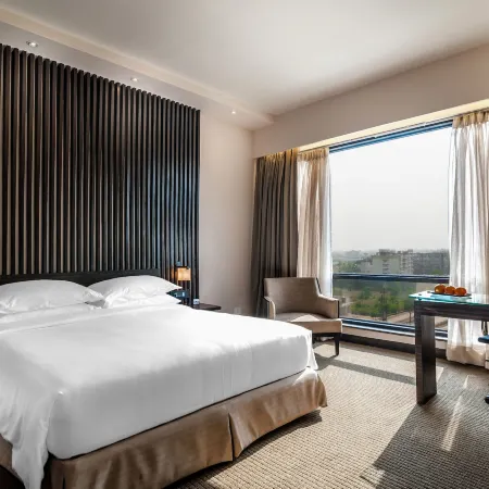 Hyatt Raipur