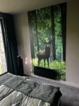 Vättervy Glamping Hoteles en Mullsjö
