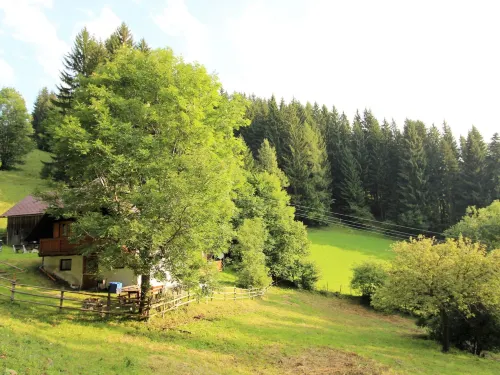 Spacious Chalet with Sauna Near Ski Area in Wolfsberg