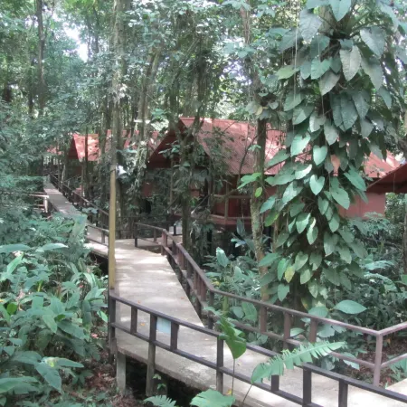 Foresta Lodge