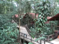 Foresta Lodge
