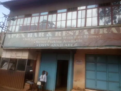 Apex Guest Rooms Hotels in Juja