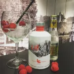 拉帕瑟里爾酒店 - 酒吧