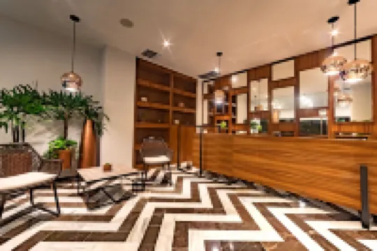 ซิงกูลาร์จอยวาเคชั่นเรนทัลส์