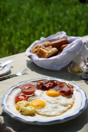 Sawai Shivir Ranthambore by Tutc