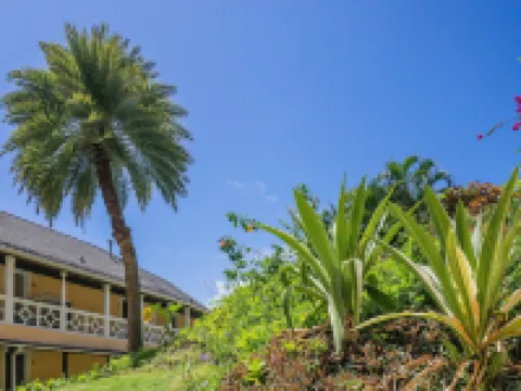 BodyHoliday - All Inclusive Hotels in Gros Islet