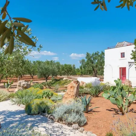 TD Lamia Porta Rossa Countryside WOlive Trees