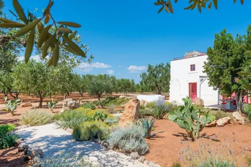 TD Lamia Porta Rossa Countryside WOlive Trees