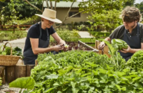 아시엔다 알타그라시아, 오베르주 컬렉션  호텔