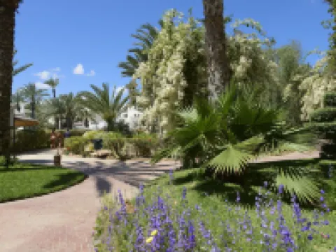 Djerba Resort- Families and Couples Only Hotels in Djerba