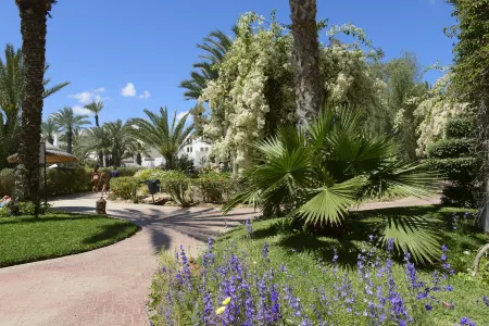 Djerba Resort- Families and Couples Only Отели в г. Mahboubine