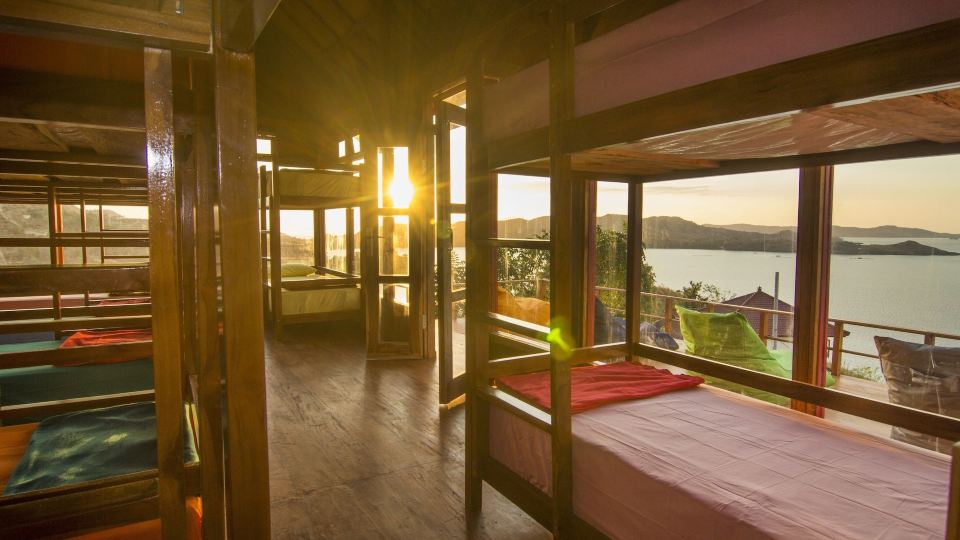 One Tree Hill - Hostel