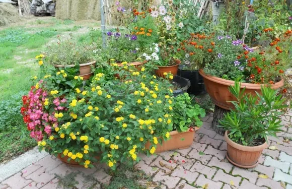 蒙提西畢里尼坎普拉託農莊酒店