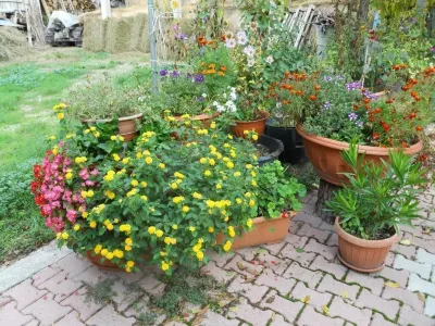 Agriturismo Monti Sibillini Camperato