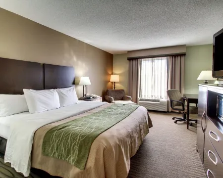 Comfort Inn Pearl-Jackson