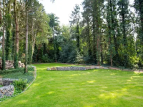 ホテル サラ ハインスベルクのホテル