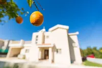 Villa Clementina Large Private Pool Walk to Beach Sea Views A C Wifi Eco-Friendly - 2183