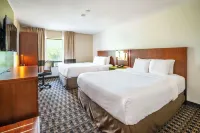 Comfort Inn Midland Hotels in Midland