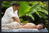Jacana Amazon Wellness Resort - Spa