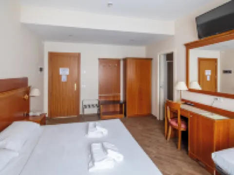 ホテル エクセルシオール パヴィア パヴィーアのホテル