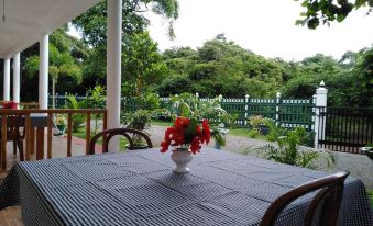 Jungle View Guest
