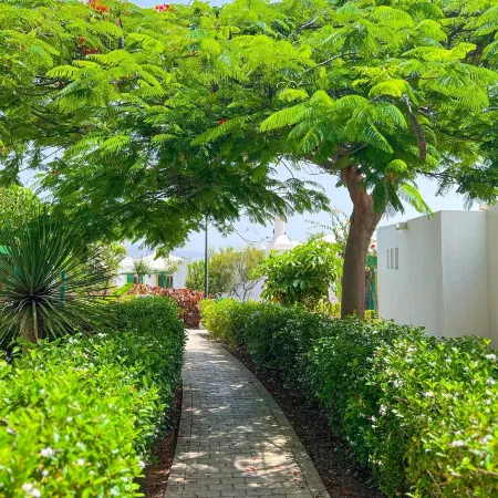 Bungalows Cordial Sandy Golf