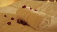 Colmeal Countryside Hotel - spa