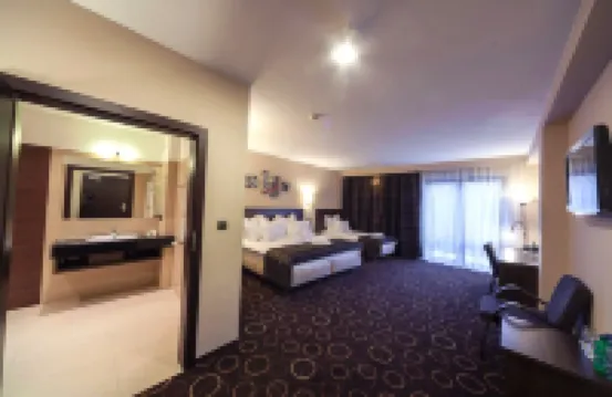 Hotel Zimnik Luksus Natury Spa & Wellness Hôtels à : 
