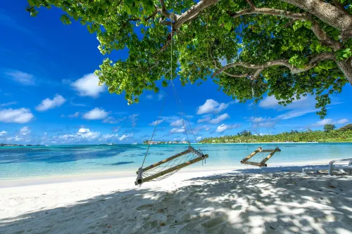Ithaa Beach - Pet-friendly