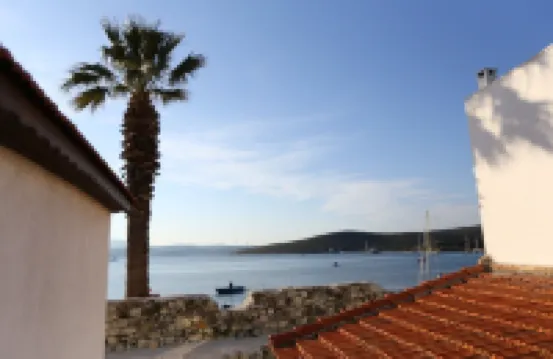 納爾咖啡廳旅館