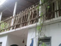 Dhanushka Guest House