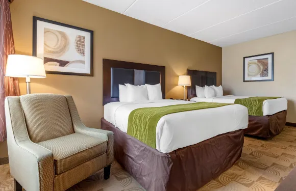 華納羅賓斯-羅賓斯空軍基地地區舒適酒店