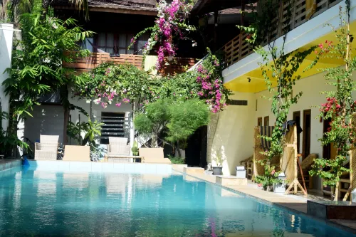 Panda Cottage - Homestays