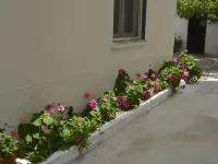 Chrismma 1-Bed Apt with Private Yard & Parking Hotels in Asterousia