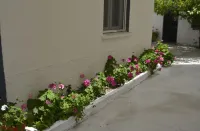 Chrismma 1-Bed Apt with Private Yard & Parking