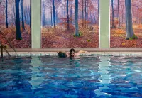 Dunalastair Hotel Suites - Pools