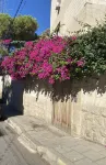 檸檬樹公寓 阿卜杜拉國王清真寺附近的飯店