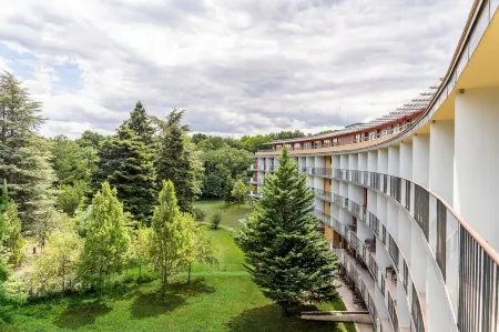 Fagus Hotel Conference & Spa Superior