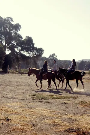 Rancho Santa Veronica Отели в г. Текате