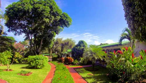 Hotel la Rosa de America Hotels in Animas