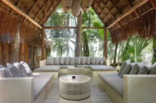 Terasu Riviera Maya Hotel & Spa, en Xcaret