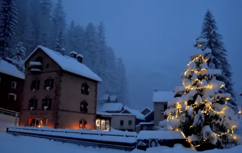 富西奧精品飯店 博斯克古林住宿飯店