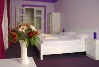 Penzion U Lucerny Hotels in 