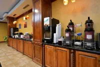 Comfort Suites Bay City