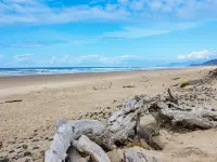 Tranquil Cabin Near Serene Beaches and Forests - Stunning Secluded Retreat Hotels in Cape Meares