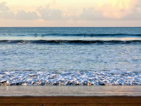 Villas Playa Palo Seco